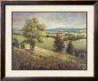 View From The Hill by P. Patrick Limited Edition Pricing Art Print