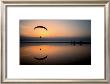 Flying Into The Sunset by Marina Cano Limited Edition Print