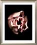 Tulip by Joyce Tenneson Limited Edition Print
