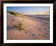 Northland Karikari Bay by Popp-Hackner Limited Edition Pricing Art Print