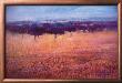 Old Olive Orchard by Ken Hildrew Limited Edition Print
