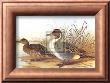 Ducks I by H. Jones Limited Edition Pricing Art Print