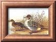 Ducks I by H. Jones Limited Edition Print