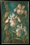 Irises On Teal by Elaine Vollherbst-Lane Limited Edition Print