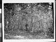 A Man Walking In A Heavily Wooded Area On Staten Island, Ny by Wallace G. Levison Limited Edition Print