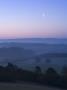 Misty Dawn With Moon, Newlands Corner, Surrey Hills, Near Guildford, Surrey, England, Uk by Miller John Limited Edition Print