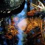 High Angle View Of A Stream, Tyresta National Park, Sweden by Rolf Ternblad Limited Edition Print