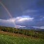 Rainbow Over The Trees, Jamtland, Sweden by Jorgen Larsson Limited Edition Print