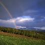 Rainbow Over The Trees, Jamtland, Sweden by Jorgen Larsson Limited Edition Pricing Art Print