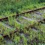 Abandoned Railway Tracks by Mikael Andersson Limited Edition Print