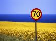 Speed Limit Sign In A Field by Jorgen Larsson Limited Edition Print