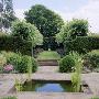 View From The Rill Garden Along The Lime Avenue Wollerton Old Hall, Shropshire by Clive Nichols Limited Edition Print