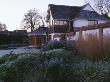 Frosty Border In Front Of The House With Verbena Bonariensis, Euphorbia 'Wulfenii' And Hebe by Clive Nichols Limited Edition Print