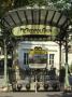Metro Entrance, Paris - Art Nouveau, Architect: Hector Guimard by David Churchill Limited Edition Print