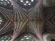 Exeter Cathedral, Devon, Interior View Showing 14Th Century Vaulted Ceiling by David Clapp Limited Edition Print