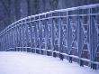 Bridge Railings On Yelagin Island, St Petersburg, Russia by Clive Nichols Limited Edition Print