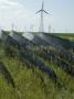 Wind Farm, Storm Lake, Iowa, Usa by Natalie Tepper Limited Edition Print