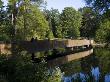 Sackler Crossing, Kew Gardens, London by Natalie Tepper Limited Edition Print