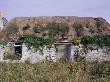 Deserted Traditional Single-Storey Croft House, Tiree, Inner Hebrides, Scotland by Philippa Lewis Limited Edition Print