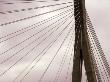 Suspension Cables On The Cable Stayed Franjo Tudjman Bridge Dubrovnik, Croatia, by Olwen Croft Limited Edition Print