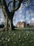 Kew Palace, Exterior From Garden by Richard Turpin Limited Edition Print