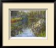 Spring Reflections Ii by Carol Buettner Limited Edition Pricing Art Print