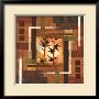 Bamboo View I by Cruz Limited Edition Print