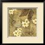 Sun-Kissed Dogwoods Ii by Nancy Slocum Limited Edition Print
