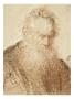 Tete D'un Vieillard by Rembrandt Van Rijn Limited Edition Print