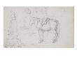 Carnet De Croquis : Bretonne Et Cheval by William Adolphe Bouguereau Limited Edition Print