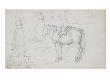 Carnet De Croquis : Bretonne Et Cheval by William Adolphe Bouguereau Limited Edition Print