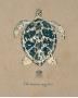 Vintage Linen Tortoise by Regina-Andrew Design Limited Edition Pricing Art Print