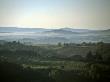 Tuscan Landscape by Eloise Patrick Limited Edition Print
