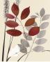 October Leaf I by Bella Dos Santos Limited Edition Pricing Art Print