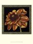 Patterned Flowers Vi by Jennifer Goldberger Limited Edition Print