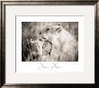 Masai Mara Ii by Lorne Resnick Limited Edition Print