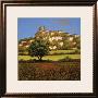Hillside Down by Steve Thoms Limited Edition Print