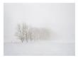 White Fog No. 3 by Stan Shire Limited Edition Print