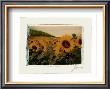 Provence, France by Ginny Ganong Nichols Limited Edition Print