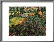 Field Of Poppies, Saint-Remy, C.1889 by Vincent Van Gogh Limited Edition Pricing Art Print