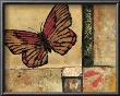 Butterfly In Red by Judi Bagnato Limited Edition Pricing Art Print