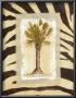 Zebra Palm I by Marie Frederique Limited Edition Print