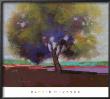 Twilight Oak Iv by Dennis Rhoades Limited Edition Pricing Art Print