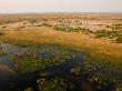 Aerial View Of Duba Plains, With Arid And Wet Areas by Beverly Joubert Limited Edition Print