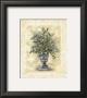 Elegant Foliage Ii by Charlene Winter Olson Limited Edition Print