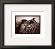 Saddling by James O'mara Limited Edition Pricing Art Print