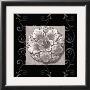 Vintage Classic Rosette Iv by Tiffany Bradshaw Limited Edition Pricing Art Print
