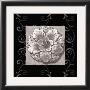 Vintage Classic Rosette Iv by Tiffany Bradshaw Limited Edition Print