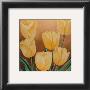 Orange Tulips by Erik De Andrã© Limited Edition Print