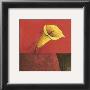 Cala Lily On Red by Claudio Furlan Limited Edition Pricing Art Print